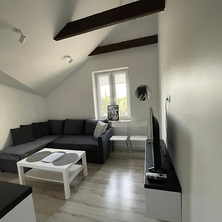 Funkcjonalny Apartament Z Klimatyzacja W Chorzowie By Noclegi Renters Appartement Chorzów