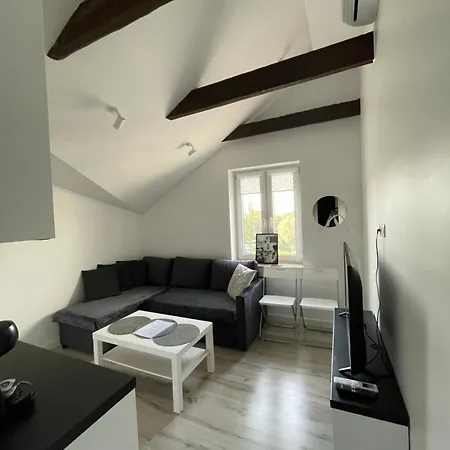 Appartement Funkcjonalny Apartament Z Klimatyzacja W Chorzowie By Noclegi Renters *