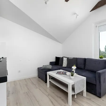 Funkcjonalny Apartament Z Klimatyzacja W Chorzowie By Noclegi Renters Appartement *