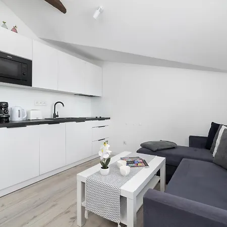 Appartement Funkcjonalny Apartament Z Klimatyzacja W Chorzowie By Noclegi Renters Chorzów